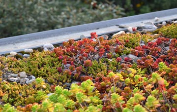 the cost of Lawns green roof installation
