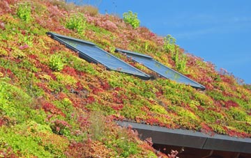 Lawns living roof systems